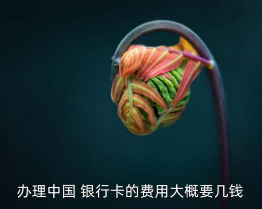 中國(guó)銀行卡辦多少錢,辦銀行卡需要什么條件要多少錢