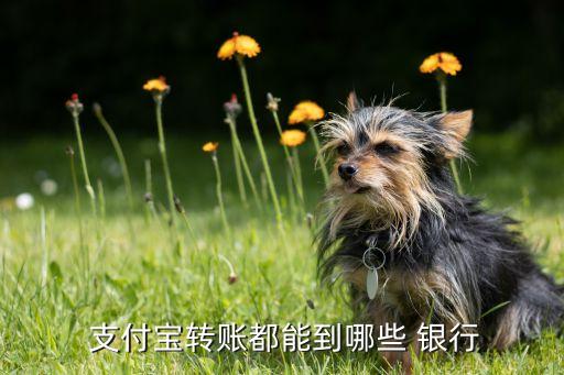  支付寶轉賬都能到哪些 銀行