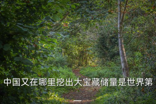 中國(guó)又在哪里挖出大寶藏儲(chǔ)量是世界第一