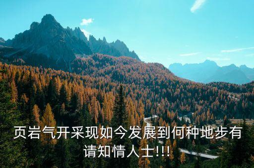  頁(yè)巖氣開采現(xiàn)如今發(fā)展到何種地步有請(qǐng)知情人士!!!