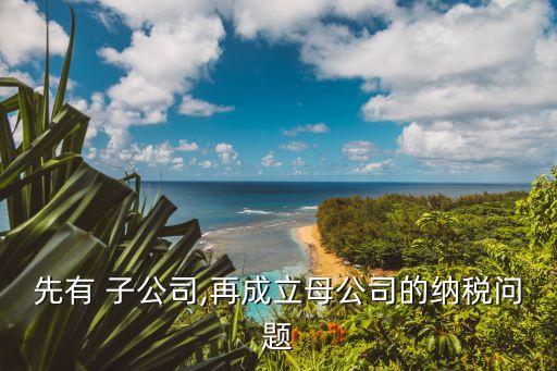 先有 子公司,再成立母公司的納稅問(wèn)題