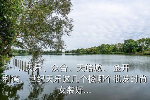 ...天樂、眾合、天皓城、 金開 利德、世紀天樂這幾個樓哪個批發(fā)時尚女裝好...