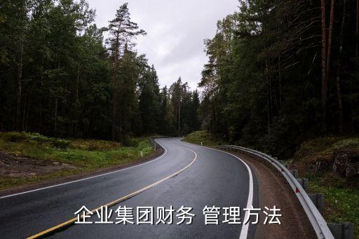 企業(yè)集團(tuán)財務(wù) 管理方法