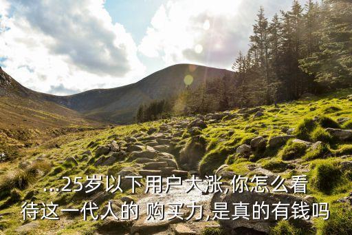 ...25歲以下用戶大漲,你怎么看待這一代人的 購(gòu)買(mǎi)力,是真的有錢(qián)嗎