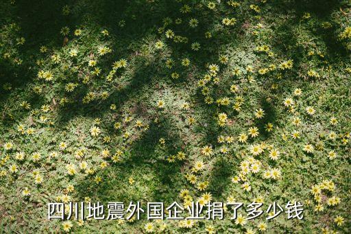 四川地震外國(guó)企業(yè)捐了多少錢