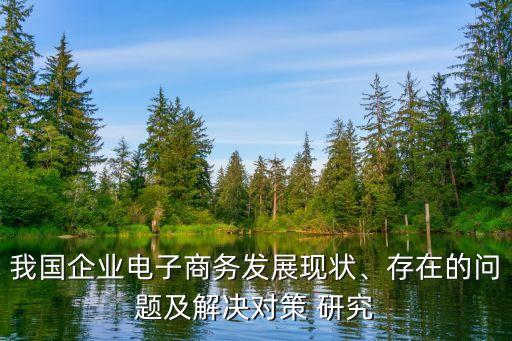我國(guó)企業(yè)電子商務(wù)發(fā)展現(xiàn)狀、存在的問(wèn)題及解決對(duì)策 研究