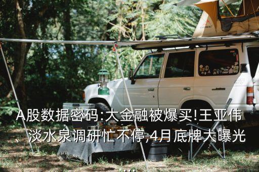 A股數(shù)據(jù)密碼:大金融被爆買!王亞偉、淡水泉調(diào)研忙不停,4月底牌大曝光...