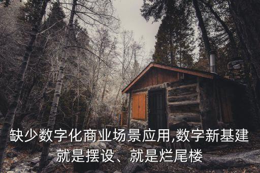 缺少數(shù)字化商業(yè)場景應用,數(shù)字新基建就是擺設(shè)、就是爛尾樓