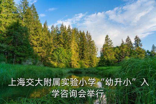  上海交大附屬實(shí)驗(yàn)小學(xué)“幼升小”入學(xué)咨詢會舉行