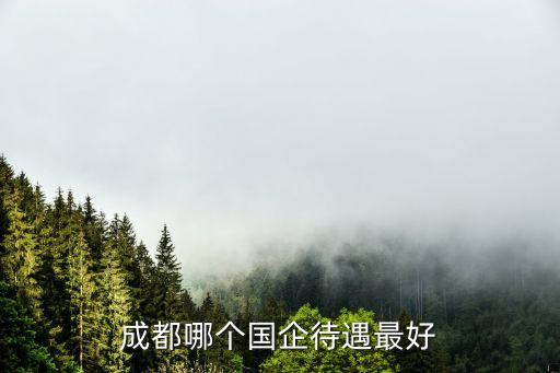 成都哪個(gè)國企待遇最好
