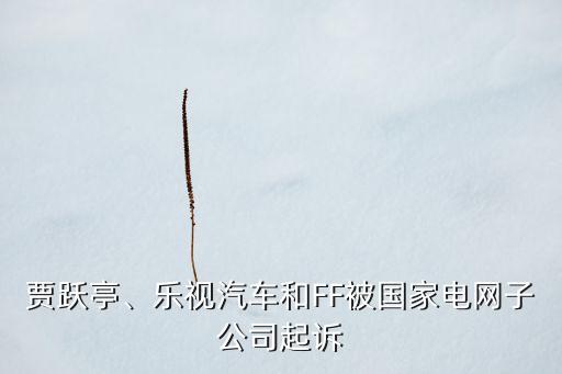 賈躍亭、樂(lè)視汽車和FF被國(guó)家電網(wǎng)子公司起訴
