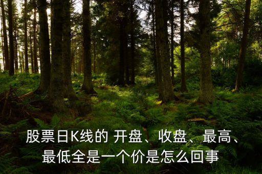  股票日K線的 開盤、收盤、最高、最低全是一個(gè)價(jià)是怎么回事