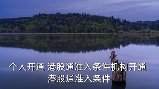 個(gè)人開(kāi)通 港股通準(zhǔn)入條件機(jī)構(gòu)開(kāi)通 港股通準(zhǔn)入條件