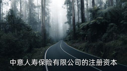 中意人壽保險(xiǎn)有限公司的注冊資本