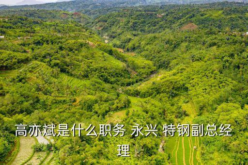 高亦斌是什么職務 永興 特鋼副總經理