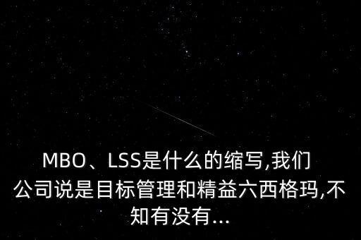 MBO、LSS是什么的縮寫,我們 公司說是目標管理和精益六西格瑪,不知有沒有...