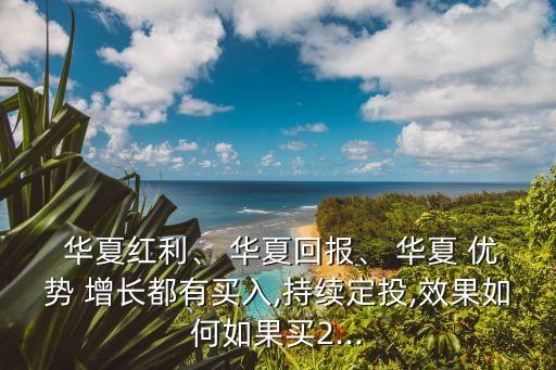  華夏紅利、 華夏回報(bào)、 華夏 優(yōu)勢 增長都有買入,持續(xù)定投,效果如何如果買2...