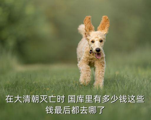 在大清朝滅亡時(shí) 國(guó)庫里有多少錢這些錢最后都去哪了