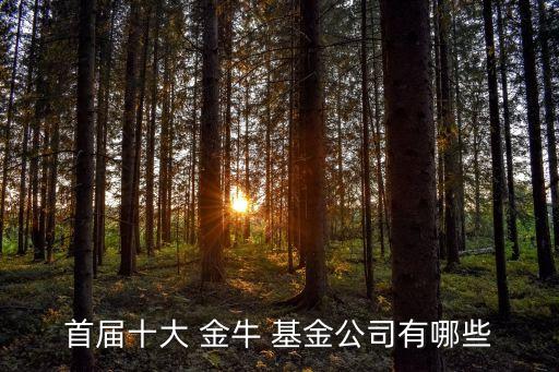 2013年度金?；?/></a></span><span id=