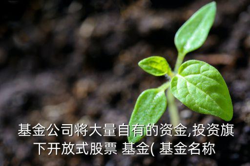  基金公司將大量自有的資金,投資旗下開(kāi)放式股票 基金( 基金名稱(chēng)